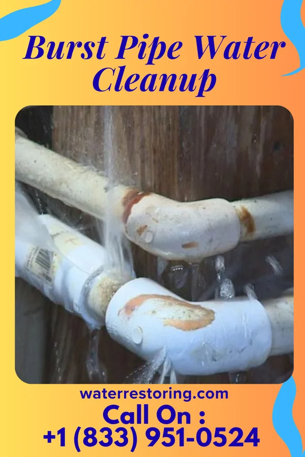 Burst Pipe Water Cleanup in Lake Wilderness, VA