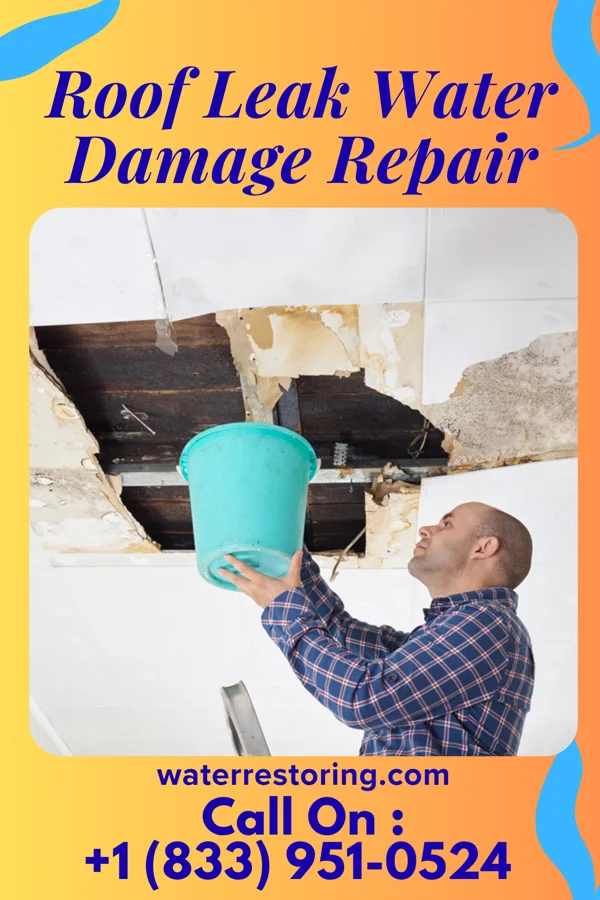 Roof Leak Water Damage Repair in Lake Wilderness, VA