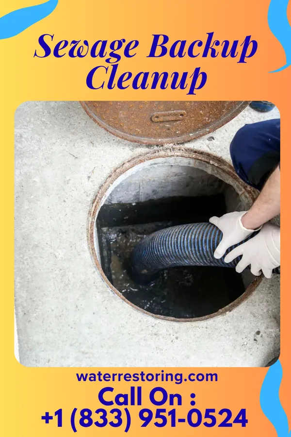 Sewage Backup Cleanup in Lake Wilderness, VA