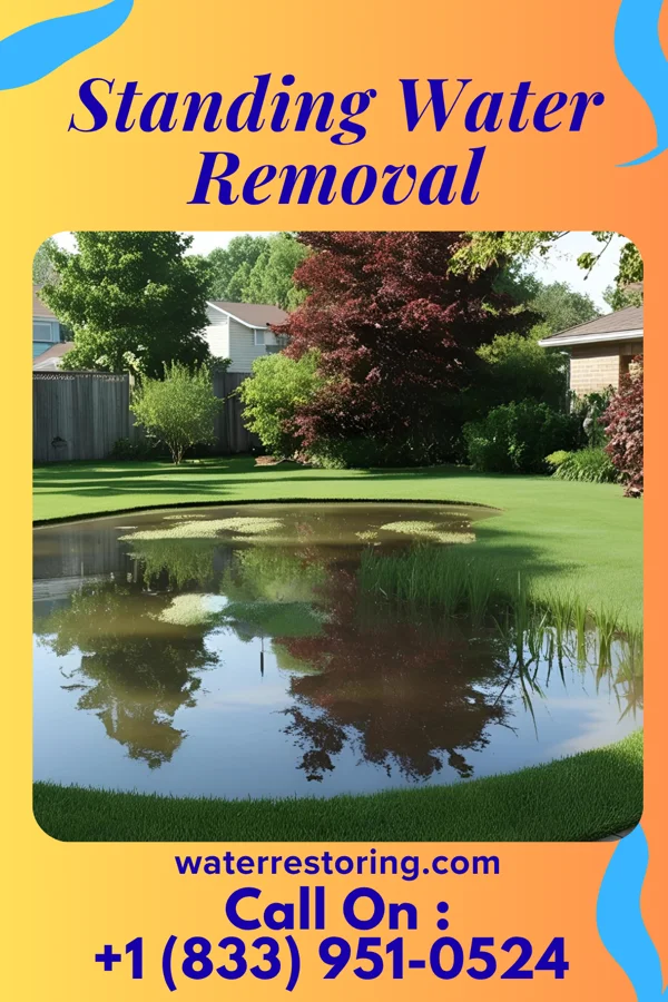 Standing Water Removal in Lake Wilderness, VA
